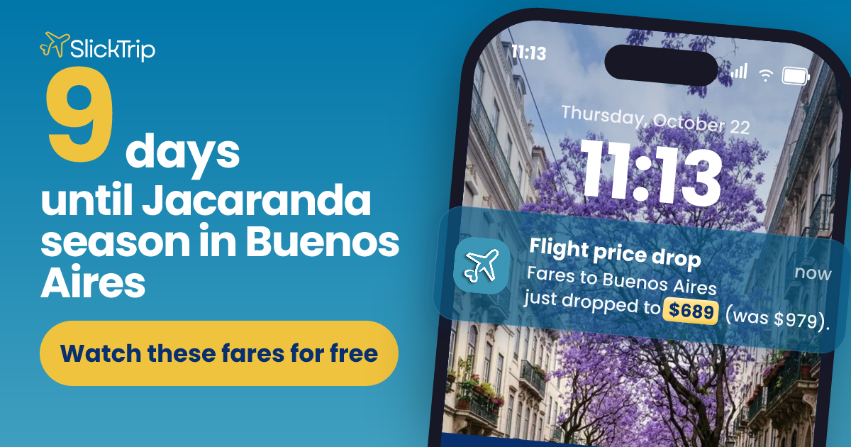 Jacaranda season in Buenos Aires: watch fares for November 1 to 30 ...